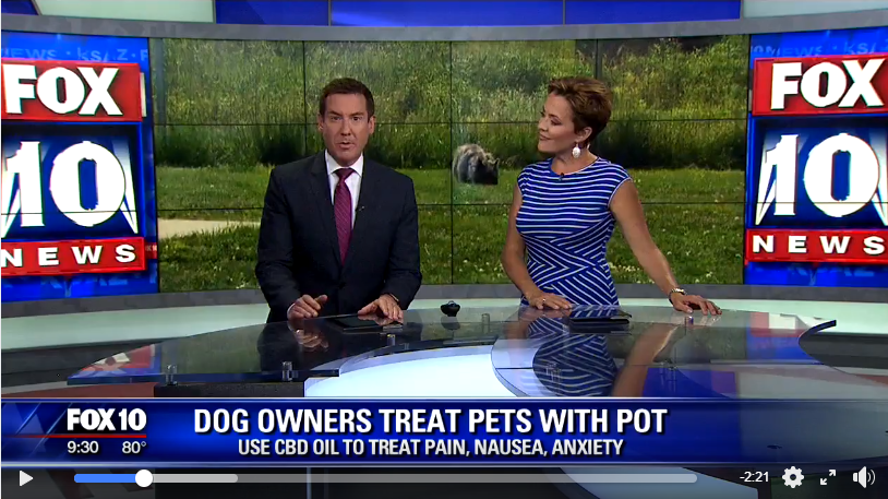 Dog Owners Treat Pets with Pot